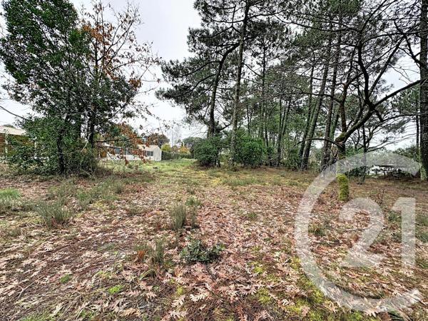 Terrain à vendre  3796 m 2   GUJAN MESTRAS  - 33