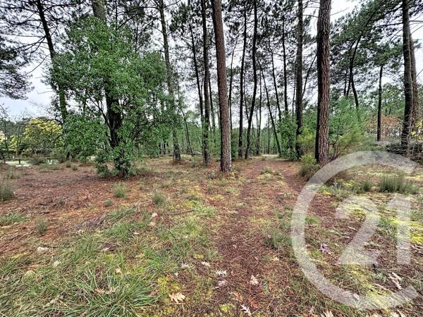 Terrain à vendre  3796 m 2   GUJAN MESTRAS  - 33