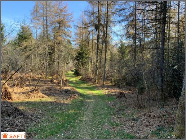 Grand terrain de loisirs de 1,5 Hectares , accès facile, proche village .
