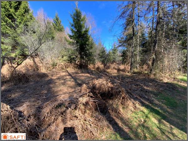 Grand terrain de loisirs de 1,5 Hectares , accès facile, proche village .