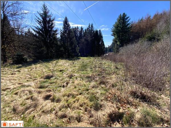 Grand terrain de loisirs de 1,5 Hectares , accès facile, proche village .
