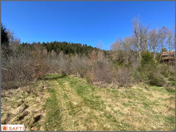 Grand terrain de loisirs de 1,5 Hectares , accès facile, proche village .