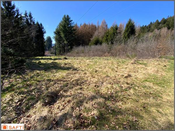 Grand terrain de loisirs de 1,5 Hectares , accès facile, proche village .
