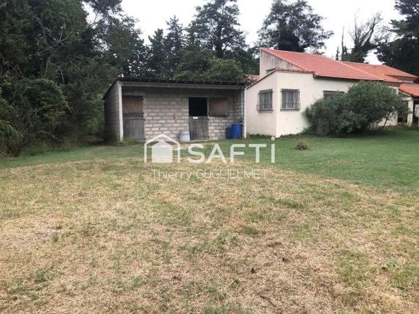 Superbe mazet sur un beau terrain avec une écurie