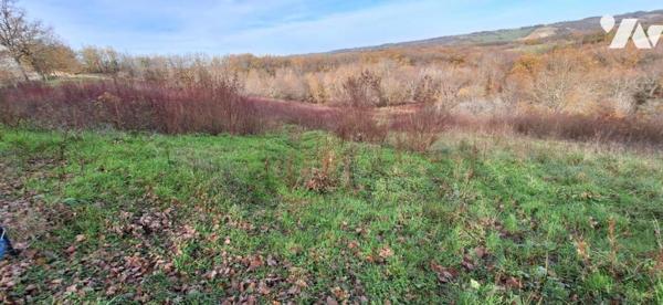 TERRAIN DE 5 hectares entièrement clôturé