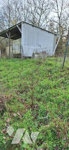 TERRAIN DE 5 hectares entièrement clôturé