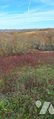 TERRAIN DE 5 hectares entièrement clôturé