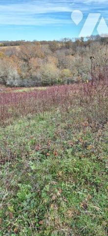 TERRAIN DE 5 hectares entièrement clôturé
