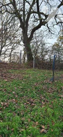 TERRAIN DE 5 hectares entièrement clôturé