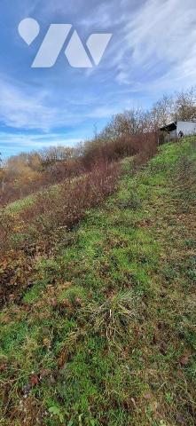 TERRAIN DE 5 hectares entièrement clôturé