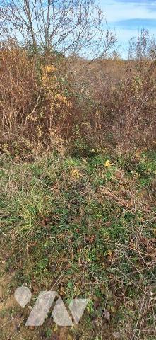 TERRAIN DE 5 hectares entièrement clôturé