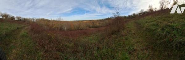 TERRAIN DE 5 hectares entièrement clôturé
