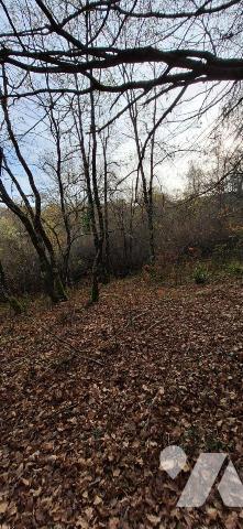 TERRAIN DE 5 hectares entièrement clôturé