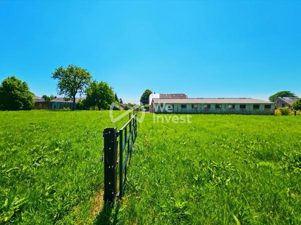 Corps de ferme à Taillette – Idéal projet de gîte ou gîte équestre