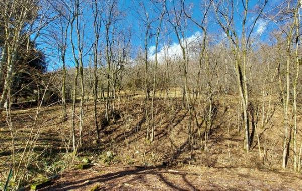 Vente Terrain Allemond   