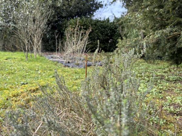 Maison individuelle Conlie 100 m²