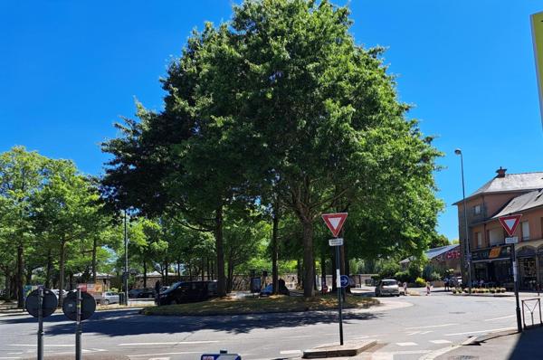 Café, bar, terrasse, PMU -Rennes Est