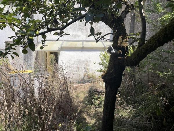 MAISON BORD DE LOIRE - PAIMBOEUF