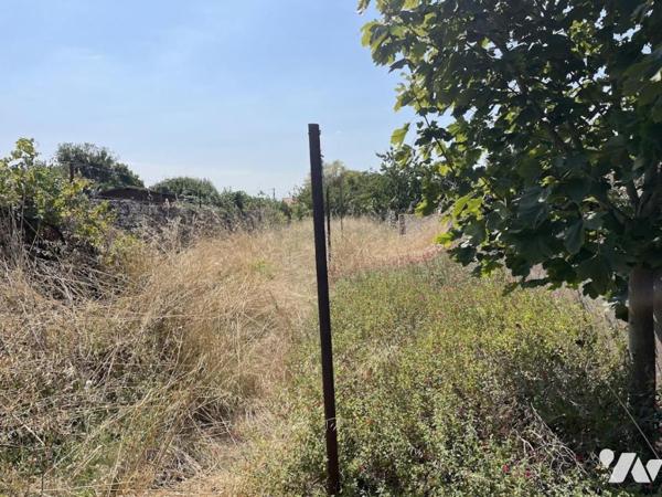 MAISON BORD DE LOIRE - PAIMBOEUF