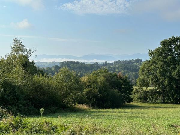 Dpt Hautes Pyrénées (65), à vendre Terrain de 2945 m2 avec CU et viabilisé.