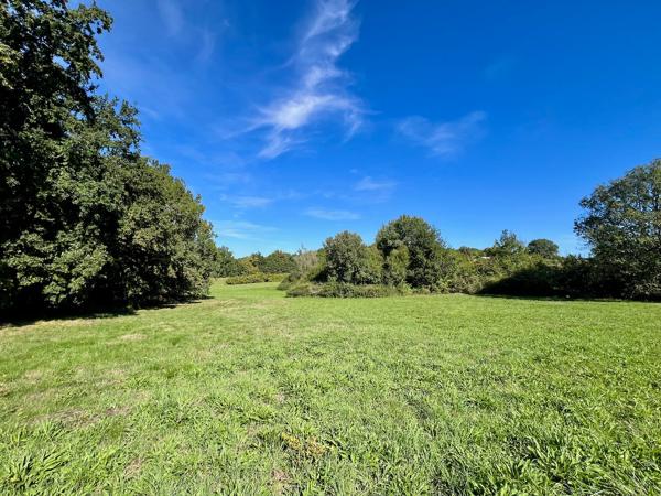 Belle opportunité dans la campagne de Villeneuve sur Lot : fermette à rénover d'environ 72m2 avec dépendances (grange attenante, séchoir à tabac et atelier) avec un terrain de 4,8 hectares ! Vous cherchez un grand terrain en campagne, proche des commodité , Villeneuve sur lot