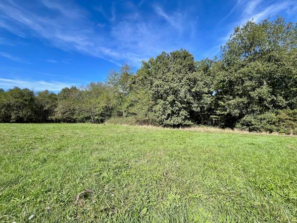 Belle opportunité dans la campagne de Villeneuve sur Lot : fermette à rénover d'environ 72m2 avec dépendances (grange attenante, séchoir à tabac et atelier) avec un terrain de 4,8 hectares ! Vous cherchez un grand terrain en campagne, proche des commodité , Villeneuve sur lot