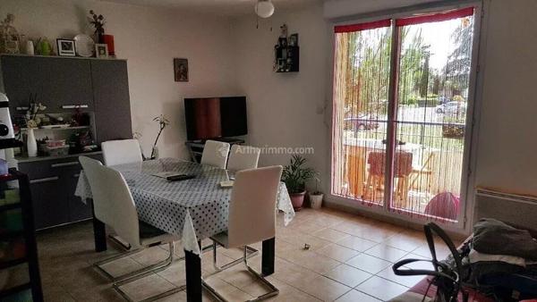 Location Appartement 3 pièces 53 m2 à Albi