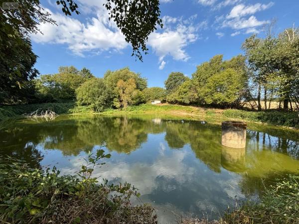 Achat - Terrain de loisirs, bois, étangs Saint-Mars-sur-la-Futaie 53220 4405 m 2