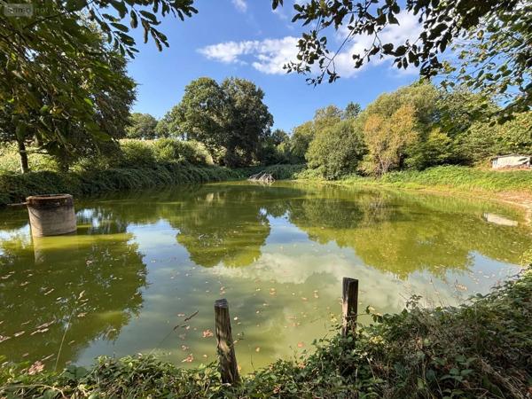 Achat - Terrain de loisirs, bois, étangs Saint-Mars-sur-la-Futaie 53220 4405 m 2