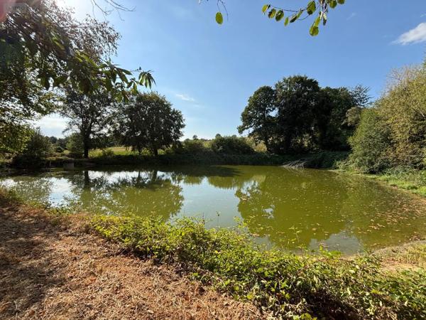 Achat - Terrain de loisirs, bois, étangs Saint-Mars-sur-la-Futaie 53220 4405 m 2