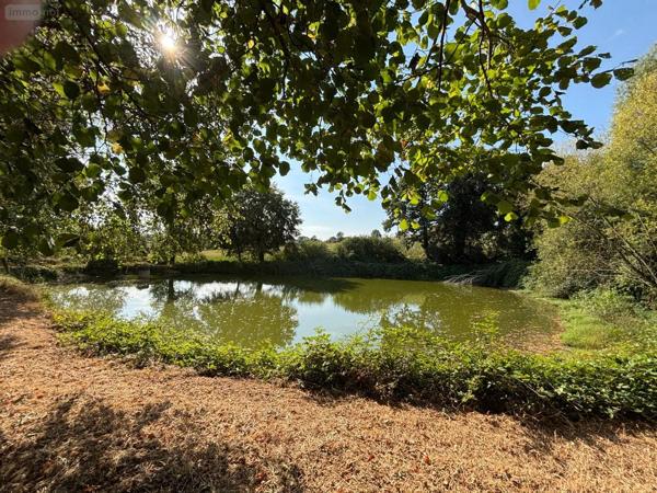 Achat - Terrain de loisirs, bois, étangs Saint-Mars-sur-la-Futaie 53220 4405 m 2