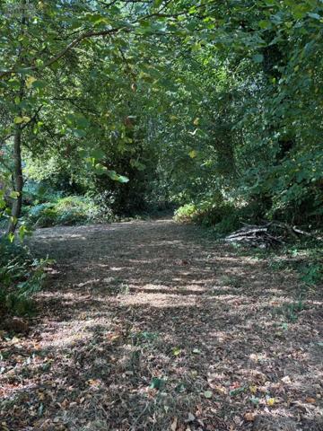 Achat - Terrain de loisirs, bois, étangs Saint-Mars-sur-la-Futaie 53220 4405 m 2