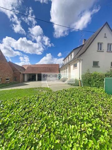 Maison à vendre à Hoffen (67250)