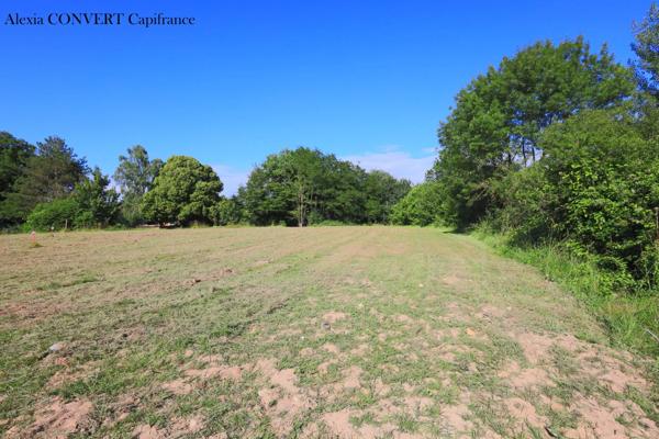 Terrain à vendre 790m² hors lotissement proche centre village  FOISSIAT (01)