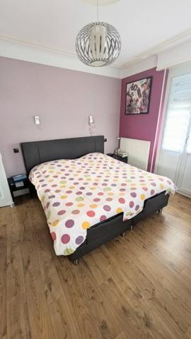 Vente / Maison de maître à Pfastatt (68120)