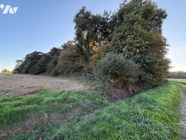 Bois à Guilliers (la Suais)