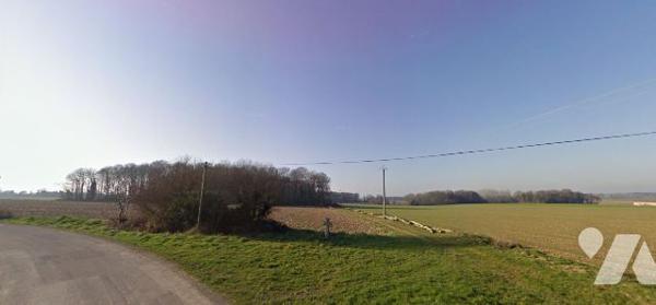 Bois à Guilliers (la Suais)