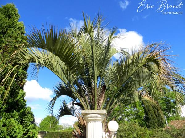 MIOS - Maison avec dépendance et piscine - au calme sur terrain de 1700 m²