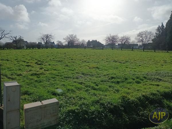 Vente terrain Questembert : 161 475 € - AJP Immobilier Questembert