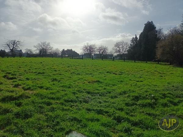 Vente terrain Questembert : 161 475 € - AJP Immobilier Questembert
