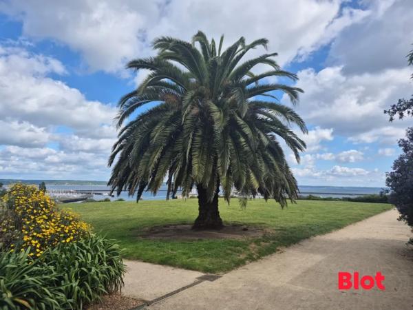 Appartement 3 pièce(s)