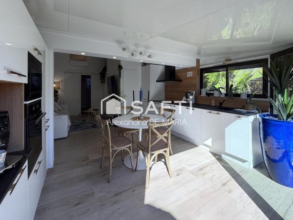MAISON RENOVEE, CLIMATISEE ET ACCES DIRECT ETANG