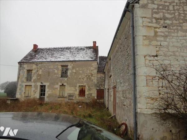 Exclusif Luçay le Mâle