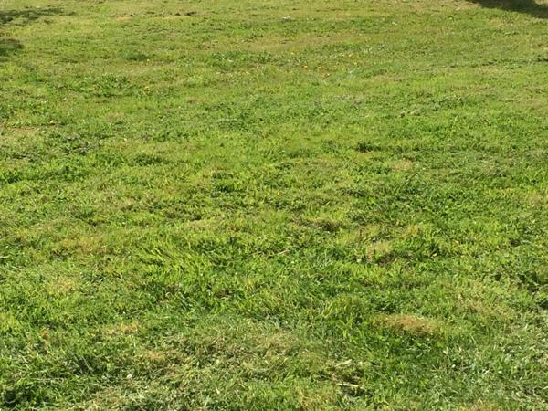 Terrain à vendre de 850,00 m² CROISY SUR ANDELLE (76)