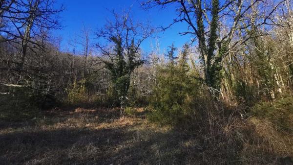 Terrain constructible - Cazals Terrain constructible