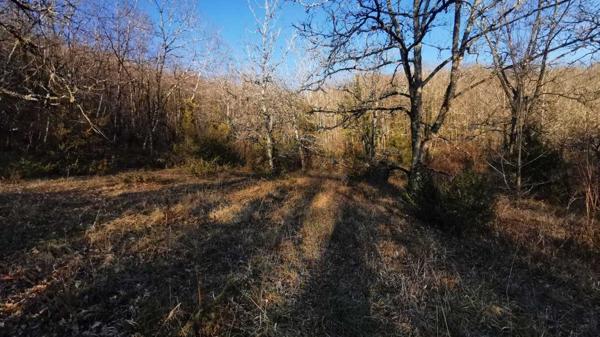 Terrain constructible - Cazals Terrain constructible