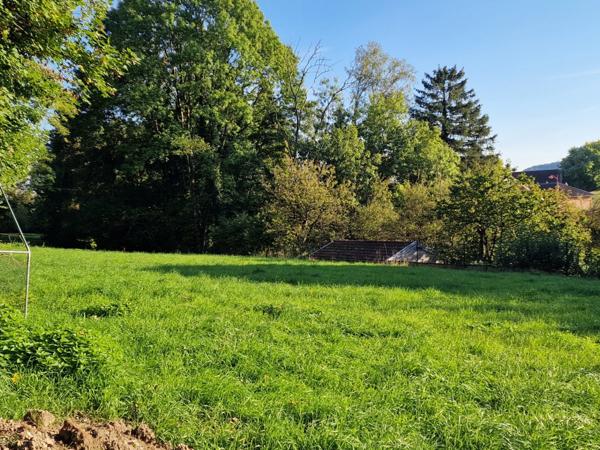 Terrain de loisirs boisé à vendre proche de VITTEL (88)