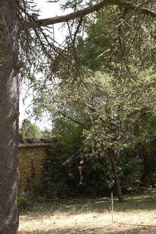 Terrain
        
        - 1000 m² 698 000 € *