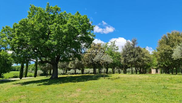 A vendre - Ancienne ferme du XVIIème, sur un domaine de près de 2 hectares - Parc du Luberon