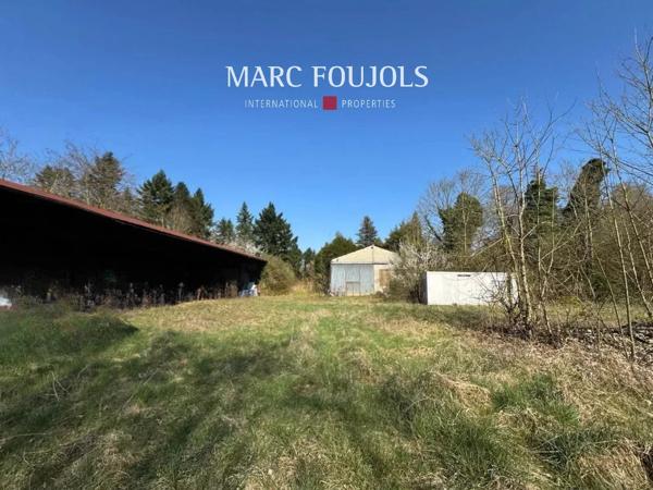 Grande Maison Familiale sur Plus de 2 Hectares avec Étang et Dépendance